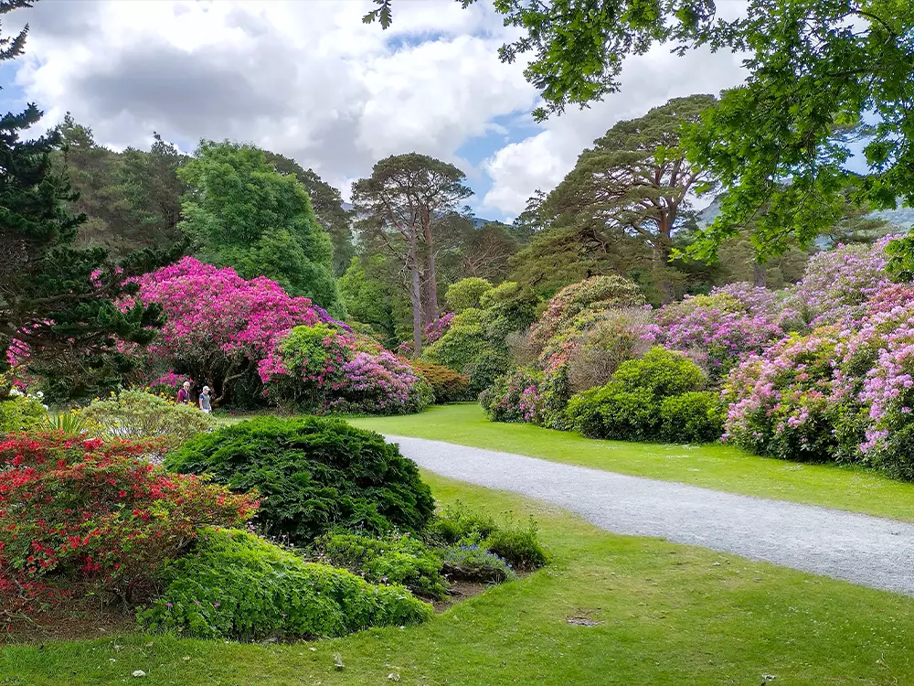 Gardens at Muckross House Killarney National Park