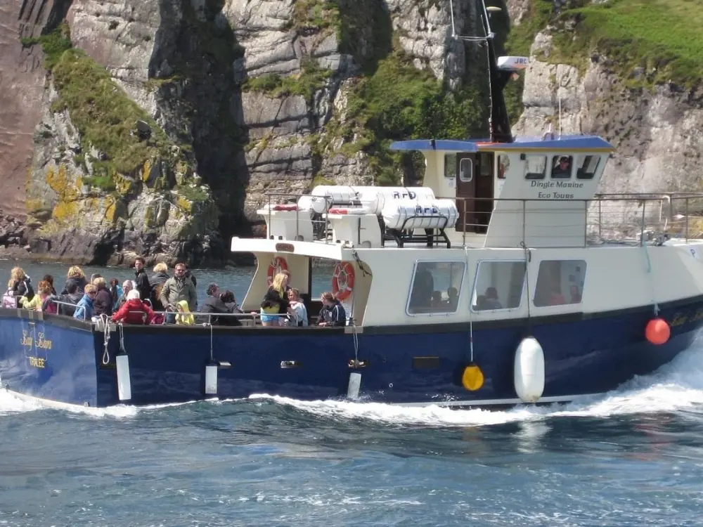 Blog Dingle Boat Tour